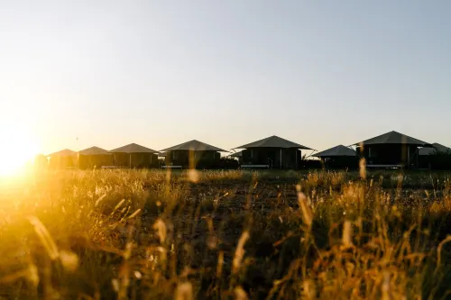 Mitchell Grass Retreat فنادق في لونغريتش
