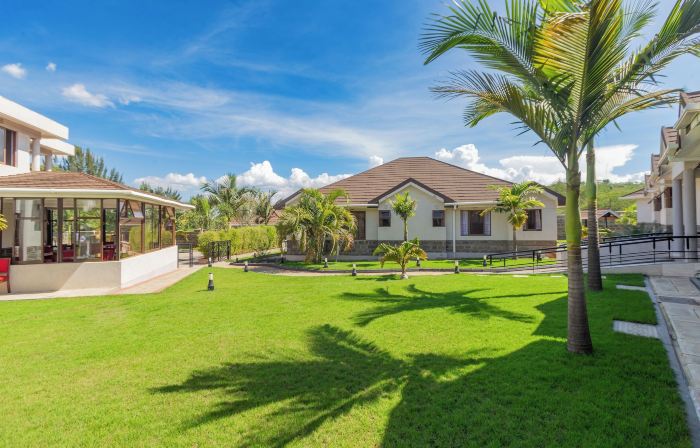 Rock Hyrax Hotel