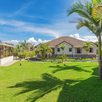 Rock Hyrax Hotel