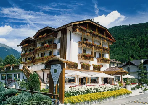 Olympic Palace Hotels in Carisolo