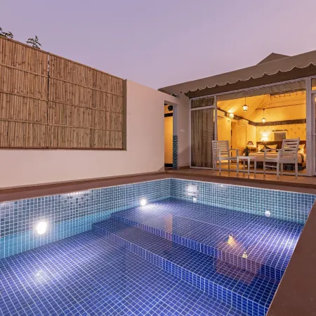 Sterling ReWild Sariska