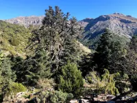 Nomadara - Boutique B&B Hotels in Alhaurín el Grande