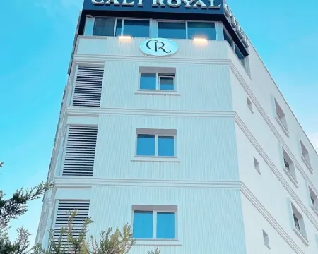 カリロイヤルホテル デニズリのホテル