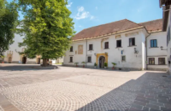 Vila Radolca公寓和房間