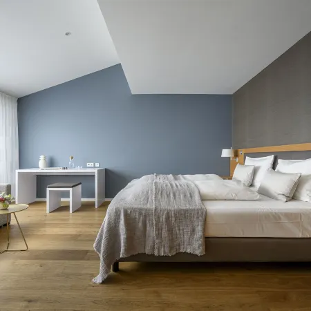 Hotel Maier