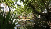 Pensão Guest Lodge
