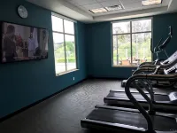 Fairfield Inn & Suites San Diego Carlsbad - Gym