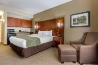 Comfort Suites Johnson City Near University