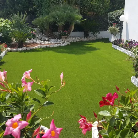 Hotel le Palme