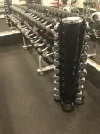 Wilhelmsen House - Gym