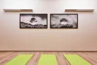 Ameron Davos Swiss Mountain Resort - Gym