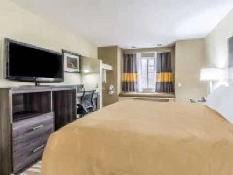 Quality Inn & Suites North Lima - Boardman Hotels in Mahoning County