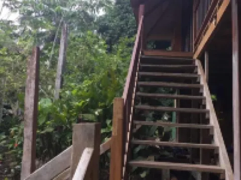Cabaña Los Termales Hotels in Nuqui