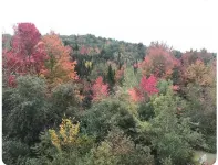 Welcoming 4 bed Loft on Organic Farm--Near MDI & Wilderness