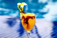 Pousada Praia Dos Carneiros - bar