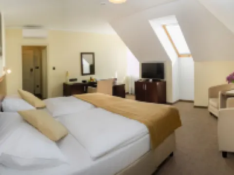 Ensana Pro Patria Hotels in Piestany