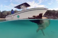 Embrace Resort Hotel di Staniel Cay