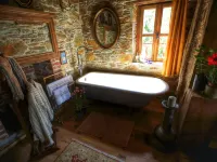 Terrace Houses Sirince - Fig, Olive Clockmakers and Grapevine Hotels in Sirince