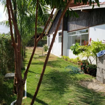 Indigo Palomino Beautiful House