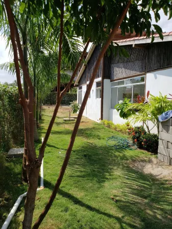 Indigo Palomino Beautiful House