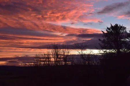 Chapelhill Croft Отели рядом с достопримечательностью «Strathisla Distillery»