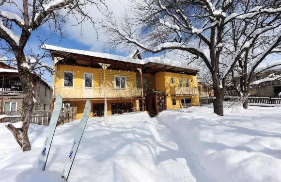 巴庫瑞安尼藝術別墅酒店