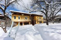 Art Villa Bakuriani Hotels in 