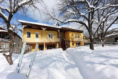 Art Villa Bakuriani Hotels in Bakuriani