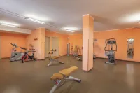吉娜公園別墅酒店 - 健身室/gym room