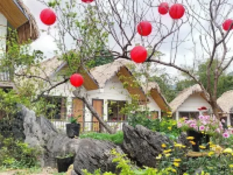 Wings Ha Giang Loop Bungalow Hotels in Ha Giang