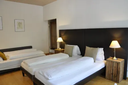 Hotel Zum Hirschen Отели в г. Бругг