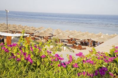 Surroundings Cleopatra Luxury Resort Sharm El Sheikh Photo