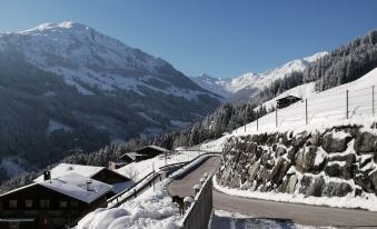 Apartment in Fügenberg Near Spieljochbahn
