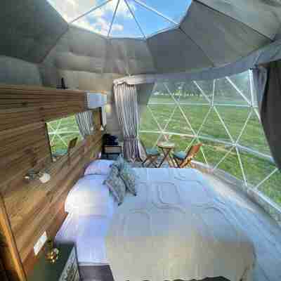 Berry Dome Rooms
