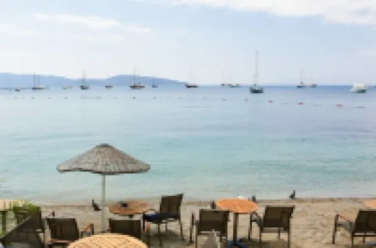 沖浪者大篷車美食酒吧及套房