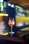 舒因德爾布魯赫自然度假村及水療中心 - 酒吧