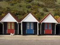 Denewood Hotel Hotels near Shelley Park