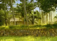 Dutch Colonial Period Villa in Contemporary Style Hotel in zona Horadugoda Sri Sumedharamaya