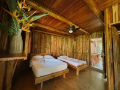 Don Jon's Surf and Yoga Lodge