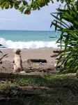 Ecohotel Bahía Terco - Beach