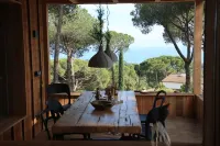 Nature Cabin on private estate and Coast Barcelona with Wellness. Maresme 호텔
