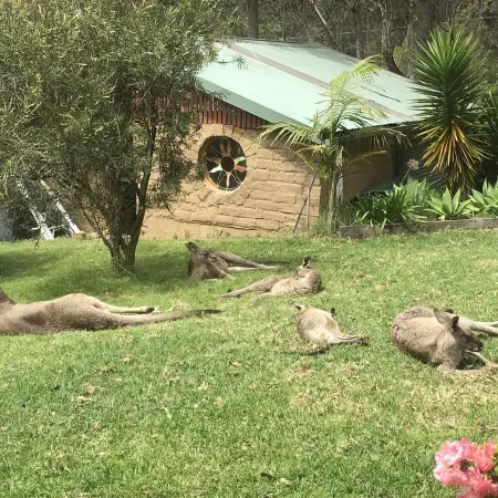 Cosy mud brick cottage in a serene bush setting, near Tathra.