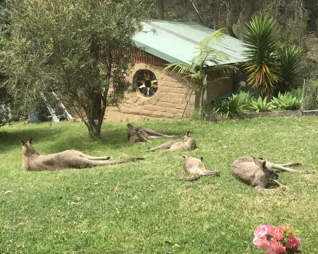 Cosy mud brick  cottage in a serene bush setting, near Tathra. Отели в г. Танджа