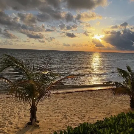 The Harvey Nicole: Modern Caribbean Ocean Front Condo Grand Cayman.