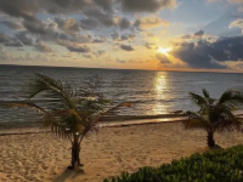 The Harvey Nicole: Modern Caribbean Ocean Front Condo Grand Cayman.
