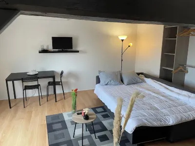 Cosy apartment at the foot of the metro and downtown Hotels near Parc Barbieux