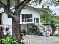 The Jungle House {AC/ Ocean View} Hotels near Saint Peter's Catholic Church