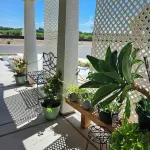 PASSAGE TO YOSEMITE - NEW SPACIOUS APARTMENT- PET FRIENDLY