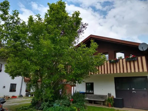 Wohnung/ferienhäuschen Hotels in Eggstatt