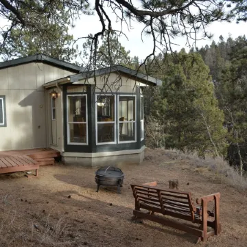 Forest cabin on 4 acres,  Newly renovated, Quiet and secluded.